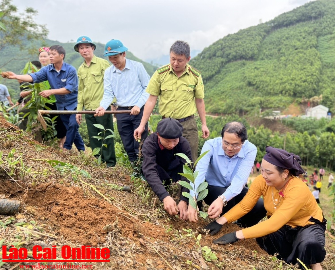 Việc tập trung trồng, khôi phục lại diện tích rừng đã mất có ý nghĩa quan trọng để “chữa lành lá phổi xanh” sau thiên tai