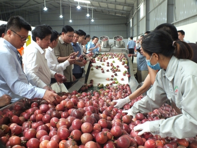 CLB văn hóa dân tộc Dao Tiền, xã Yên Nguyên tham gia biểu diễn tại Lễ đón nhận Bằng xếp hạng Di tích Quốc gia di tích khảo cổ địa điểm chùa Bảo Ninh Sùng Phúc.