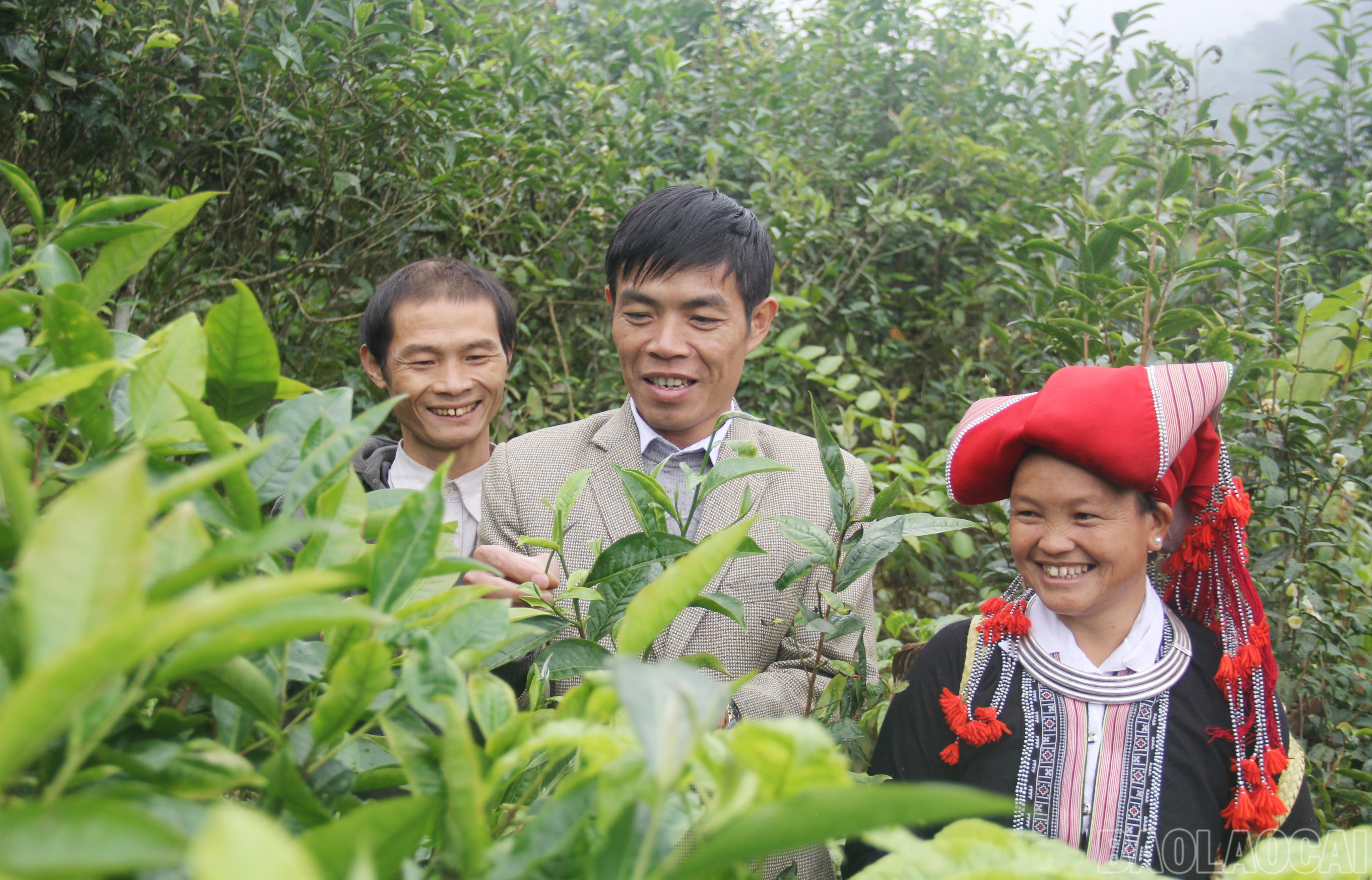 Các đại biểu và đông đảo Nhân dân, du khách tham dự đêm khai mạc