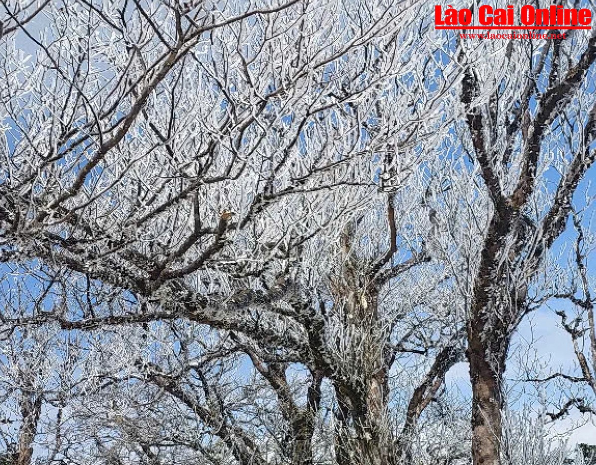 2948 nhiet do tai phia oac nhung ngay qua xuong khoang 0 do c vao dem va rang sang nay 0629 2