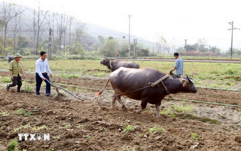 0402 le hoi xuong dong lao cai 3 1