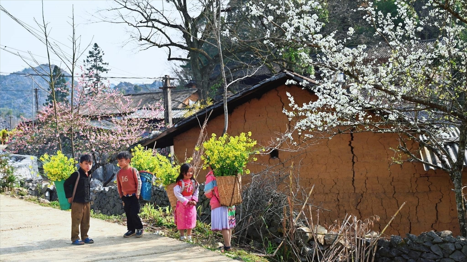 Xuân về vùng Cao nguyên đá Hà Giang. Ảnh NST