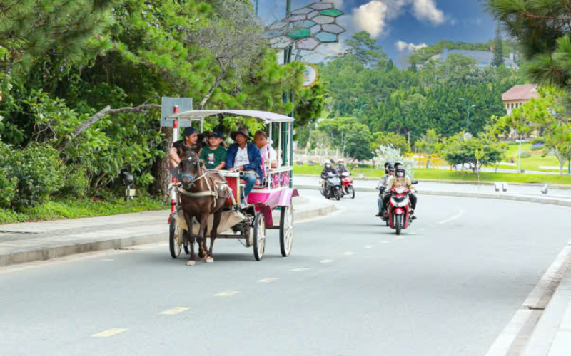 Dịch vụ đưa du khách tham quan bằng xe ngựa ở Đà Lạt. Ảnh: Phi Long