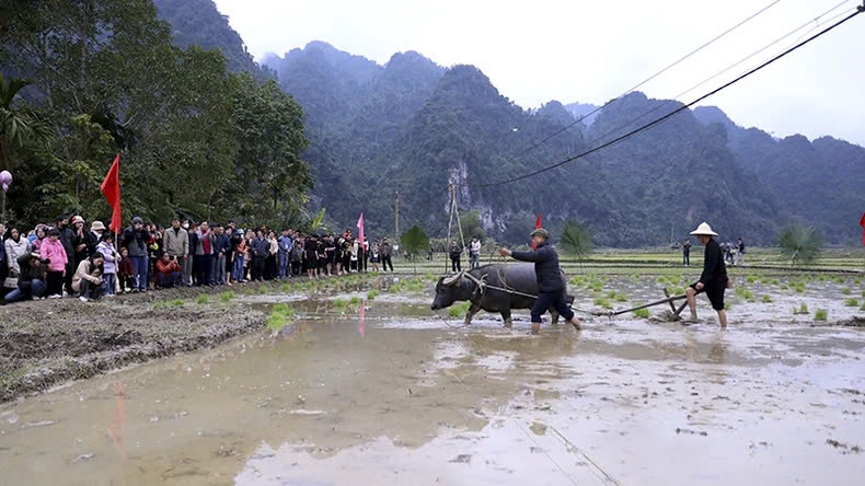 Nghi thức cày tịch điền với mong muốn một năm mới mưa thuận gió hòa, mùa màng tươi tốt