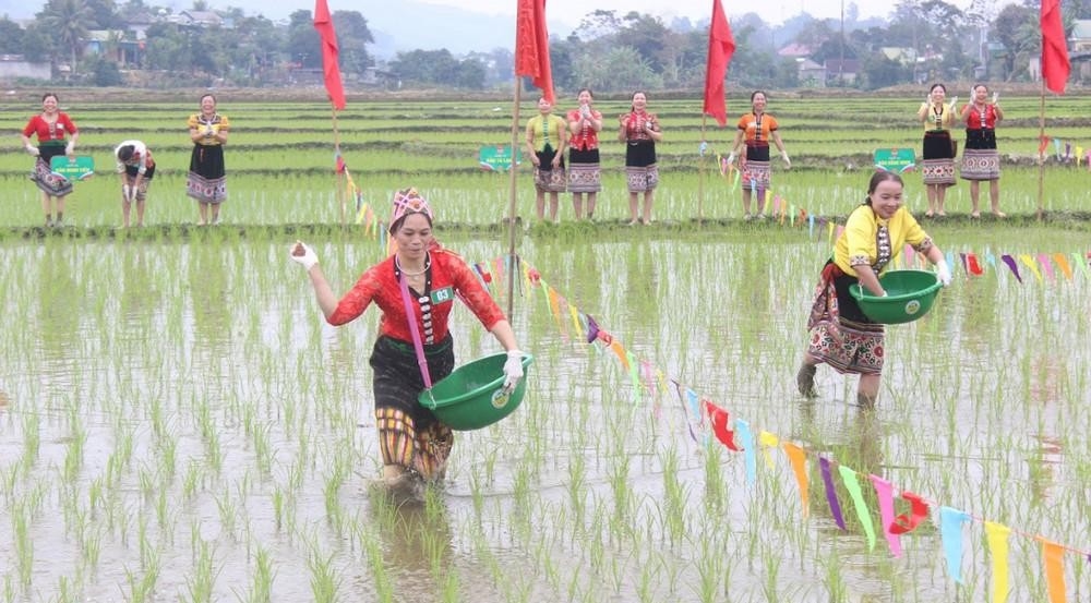 Đồng bào Thái xã Châu Hạnh, huyện Quỳ Châu thực hành Lễ hội Lồng tồng đầu năm - Ảnh: Lữ Nghĩa