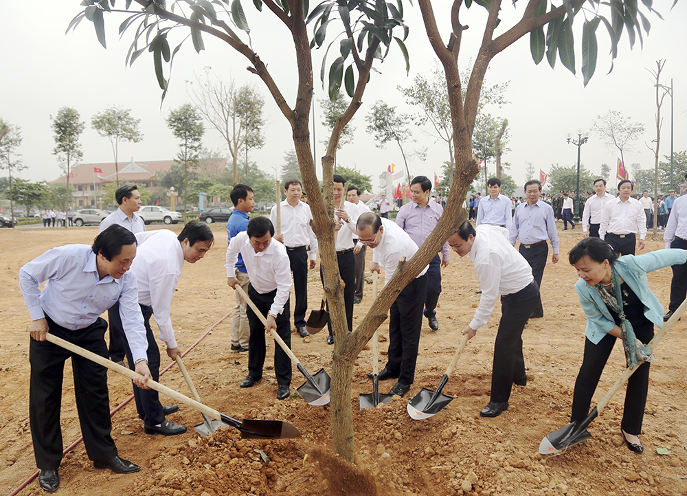 Trồng cây đầu xuân góp phần phủ xanh môi trường ( ảnh minh hoạ )