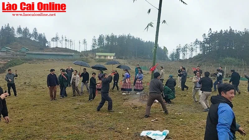 Nghi lễ dựng cây Nêu trong lễ hội Gầu Tào, tại thôn Tả Chải, xã Lùng Phình, huyện Bắc Hà.