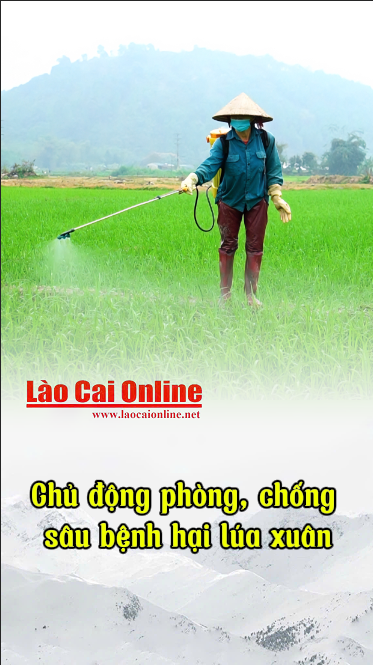 Anh chup man hinh 2025 03 16 161421