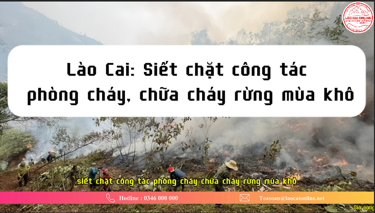 Anh chup man hinh 2025 03 19 111252