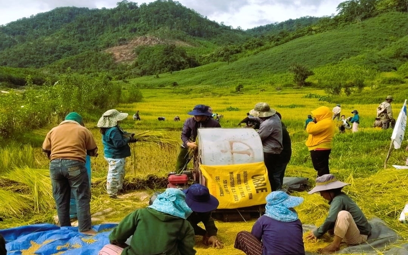 Kinh tế tập thể – Động lực quan trọng giảm nghèo ở Quảng Nam 2 Các mô hình kinh tế tập thể, HTX đóng vai trò quan trọng trong công tác giảm nghèo ở Quảng Nam (Ảnh minh họa). (Ảnh Báo Dân Tộc)