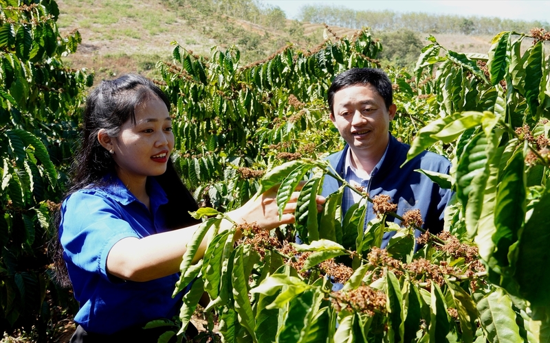 Chị Y Lim (bên trái), đảng viên Chi bộ thôn Đăk Nu, xã Ngọc Tụ, huyện Đăk Tô luôn gương mẫu đi đầu trong mọi hoạt động của thôn và tiên phong trong phát triển kinh tế gia đình. (Ảnh Báo Dân Tộc)