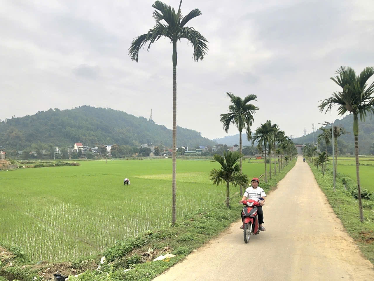 Giáo dân Quang Kim đoàn kết, chung tay xây dựng bản làng phát triển 3 Đồng bào Công giáo ở Quang Kim chung tay xây dựng bản làng ngày một phát triển. (Ảnh Báo Dân Tộc)