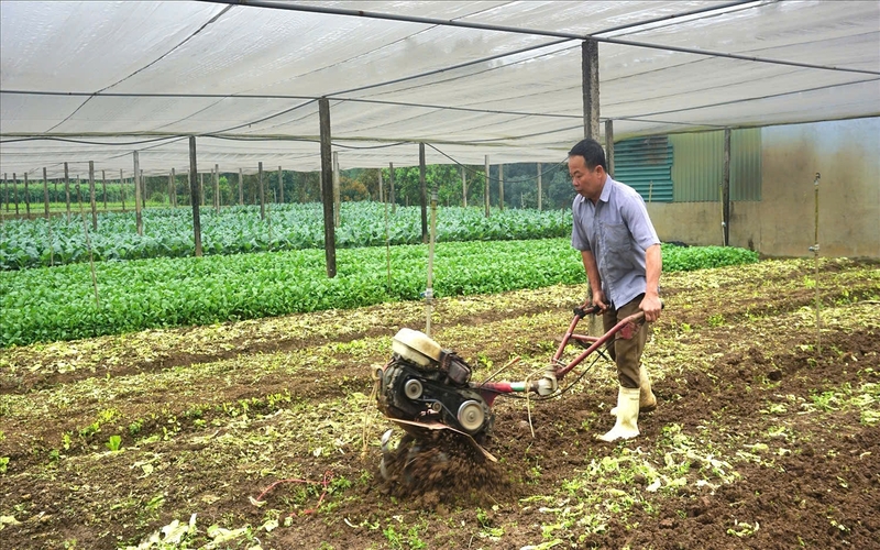 Giáo dân Quang Kim đoàn kết, chung tay xây dựng bản làng phát triển 1 Mỗi năm từ trồng và bán rau giống, gia đình anh Đinh Quốc Việt thu về trên 700 triệu đồng, (Ảnh Báo Dân Tộc)