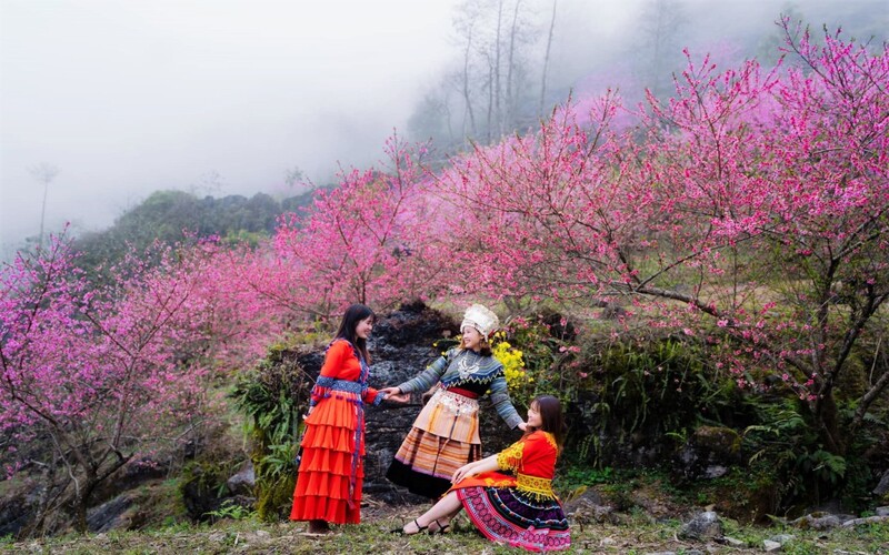 Mua hoa dao no muon o Ha Giang khien khong it du khach ngo ngang va thon thuc truoc ve dep cua chung. 57847 1