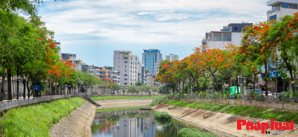 Sông Tô Lịch ngày càng trở nên xanh mát hơn nhờ các dự án cải tạo. (Ảnh Báo Pháp Luật)