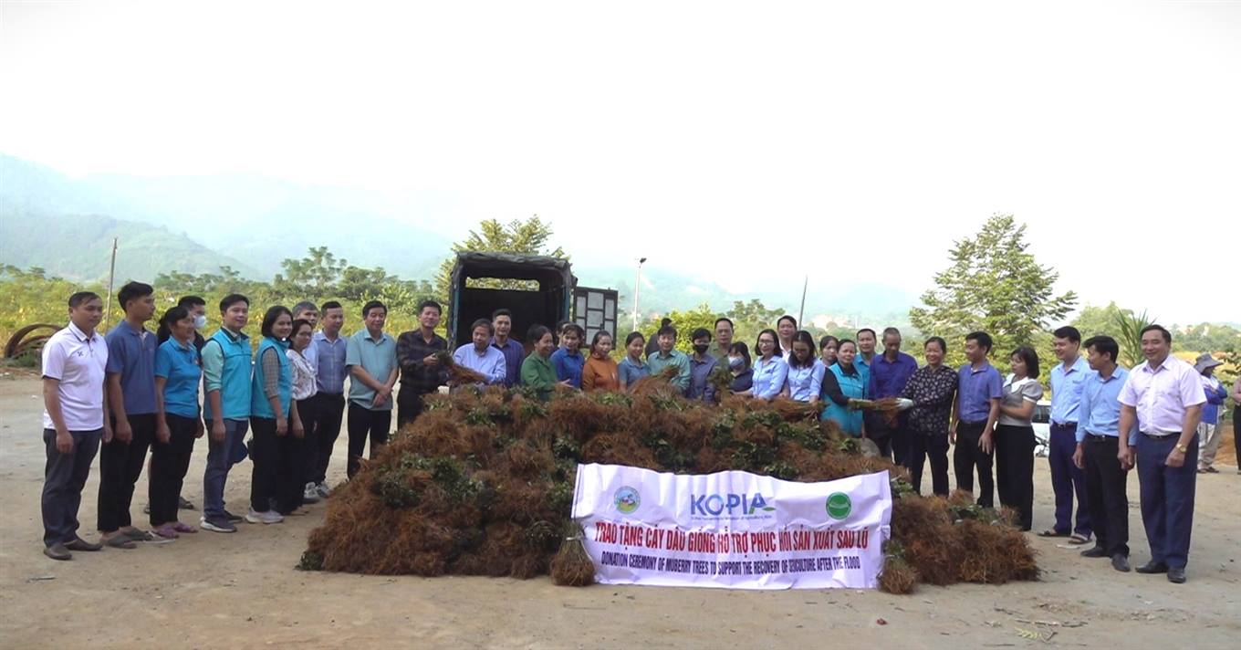 Kim Sơn tích cực phát triển nghề trồng dâu nuôi tằm, hướng đến kinh tế bền vững 6 Tặng cây dâu giống cho nhân dân xã Kim Sơn. (Ảnh Truyền Hình Bảo Yên)