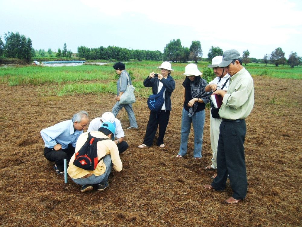 Tràm Chim hiện lên như một bức tranh thiên nhiên đa sắc với những cánh rừng tràm bạt ngàn, những cánh đồng cỏ năn, sen, lúa trời đua nhau mọc xanh rì. (Ảnh Báo Long An Online)