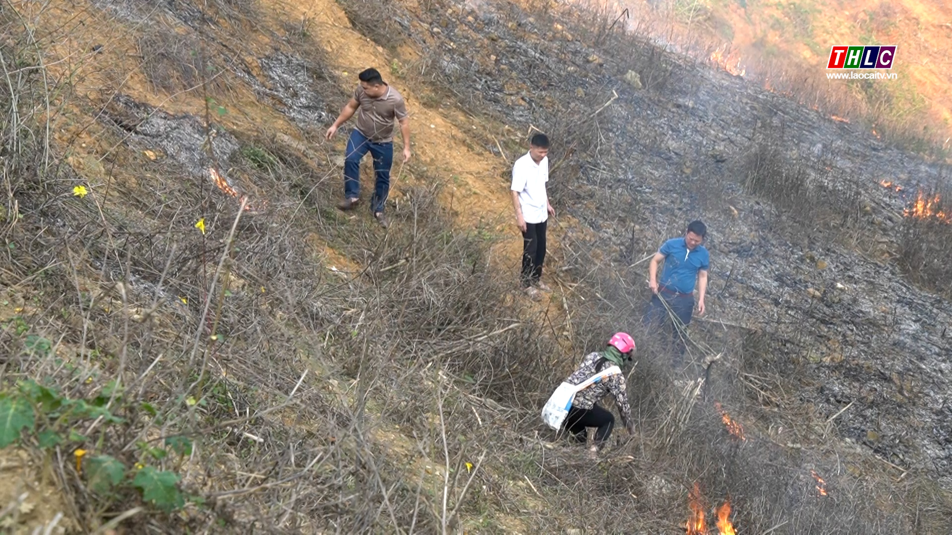 Tăng cường phòng, chống cháy rừng tại Khu Bảo tồn thiên nhiên Hoàng Liên - Văn Bàn 2 Cán bộ kiểm lâm giám sát việc đốt dọn thực bì (ảnh truyền hình Lào Cai)