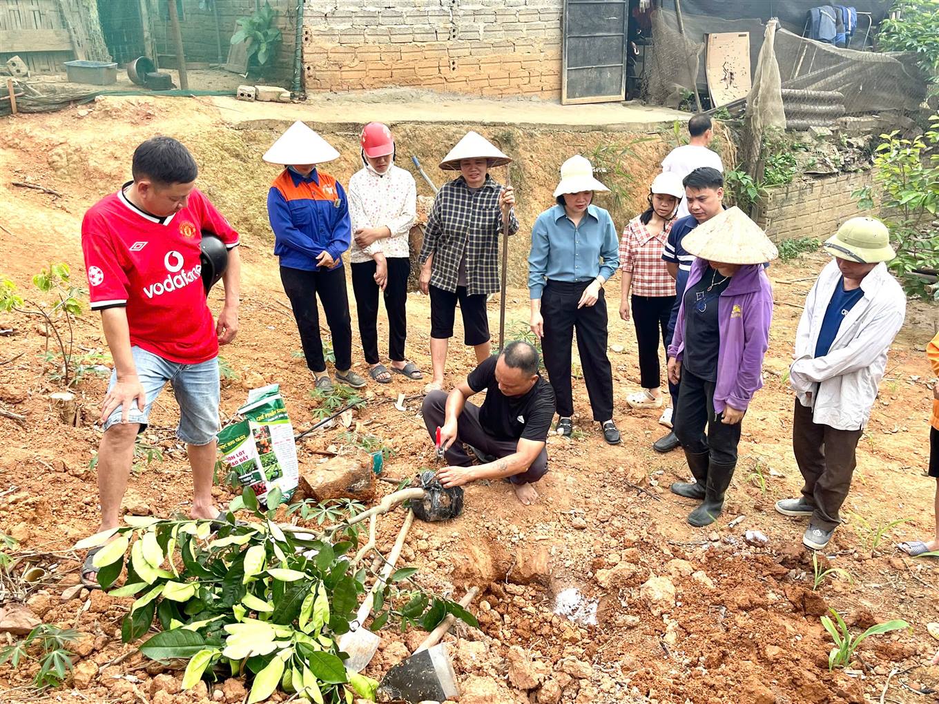 Hướng dẫn kỹ thuật trồng giống bưởi da xanh. (Ảnh Truyền Hình Bảo Yên)