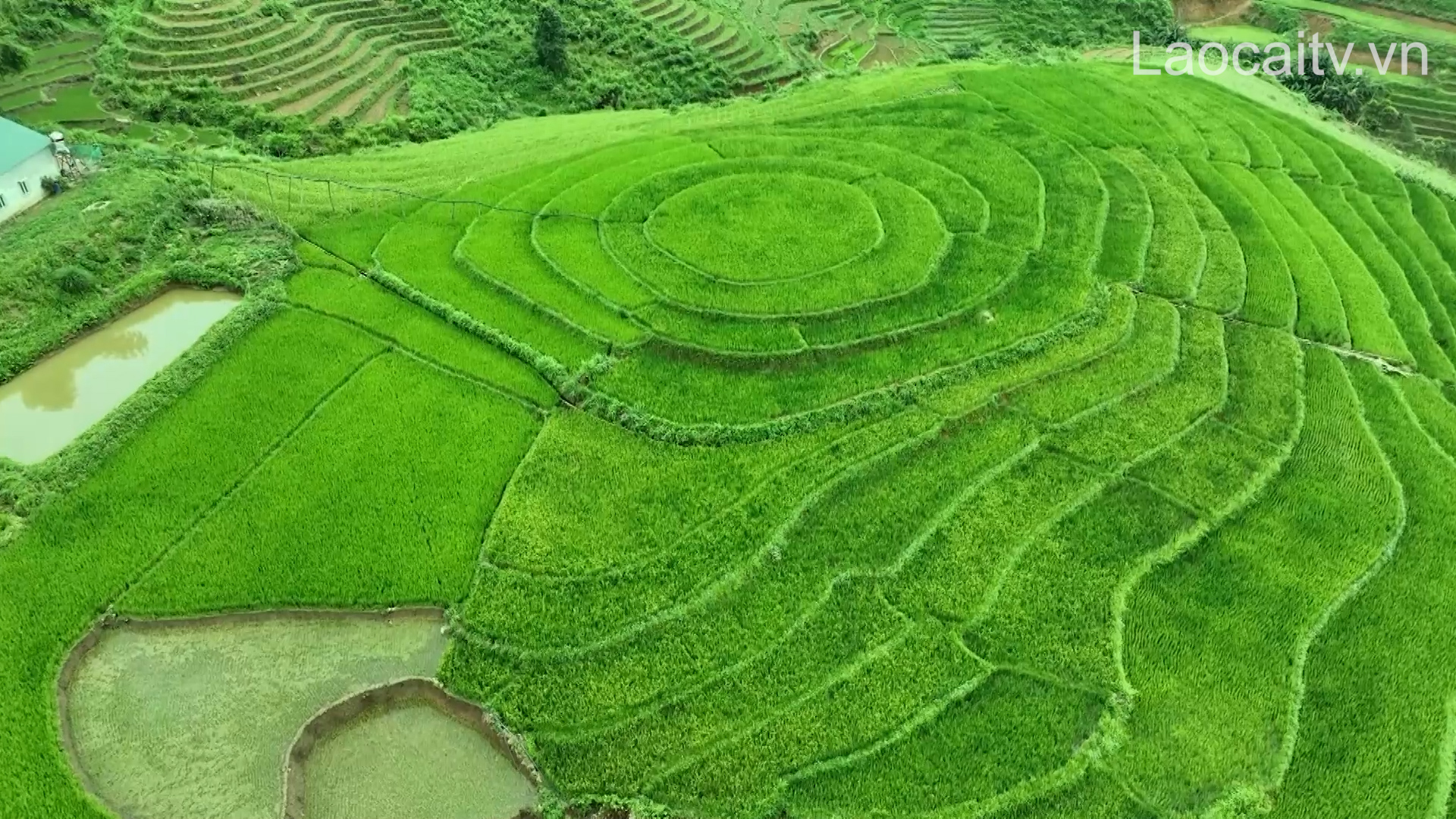 Kinh te phat trien doi song cua ba con duoc nang len bo mat nong thon moi doi thay tao tien de de Nam Xe mot trong nhung xa dien dac biet kho khan cua Van Ban dang ngay cang khoi sac. 65677