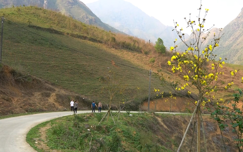 Nam 2024 vua qua Nam Xe cung da phat dong trong duoc 22 km duong hoa hon deu co den duong thap san 566778 1