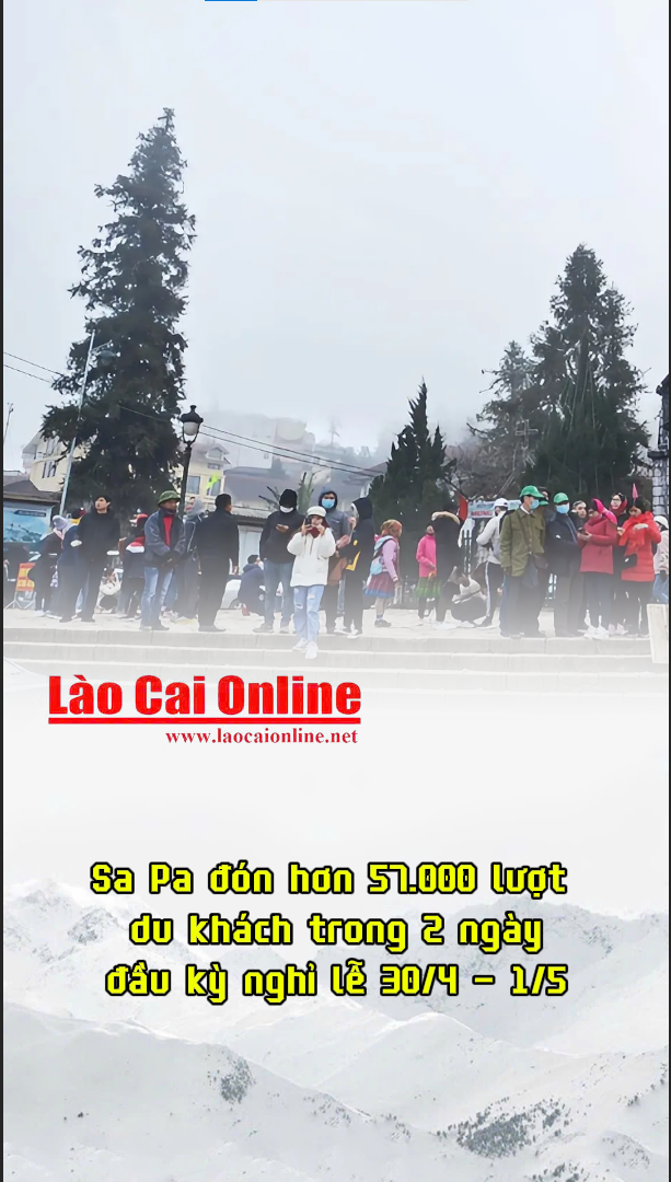 00db2c0c b230 4e9d 8f4f 7eda2cee5111