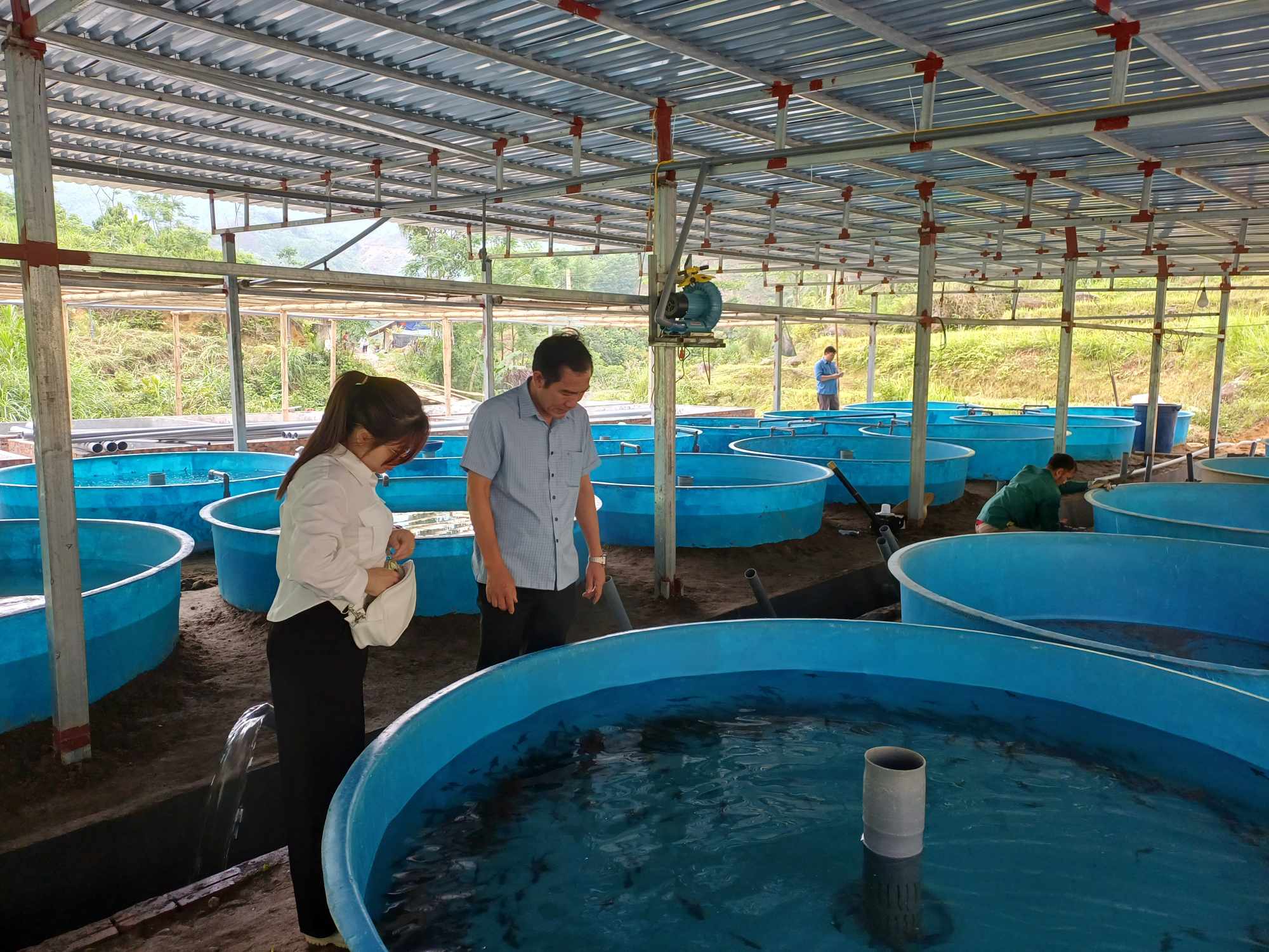 Tân Tiến phát triển mô hình nuôi cá tầm: Hướng đi mới cho nông nghiệp bền vững 7 Mô hình nuôi cá tầm đang mở ra triển vọng mới cho phát triển kinh tế tại xã Tân Tiến (ảnh truyền hình Bảo Yên )