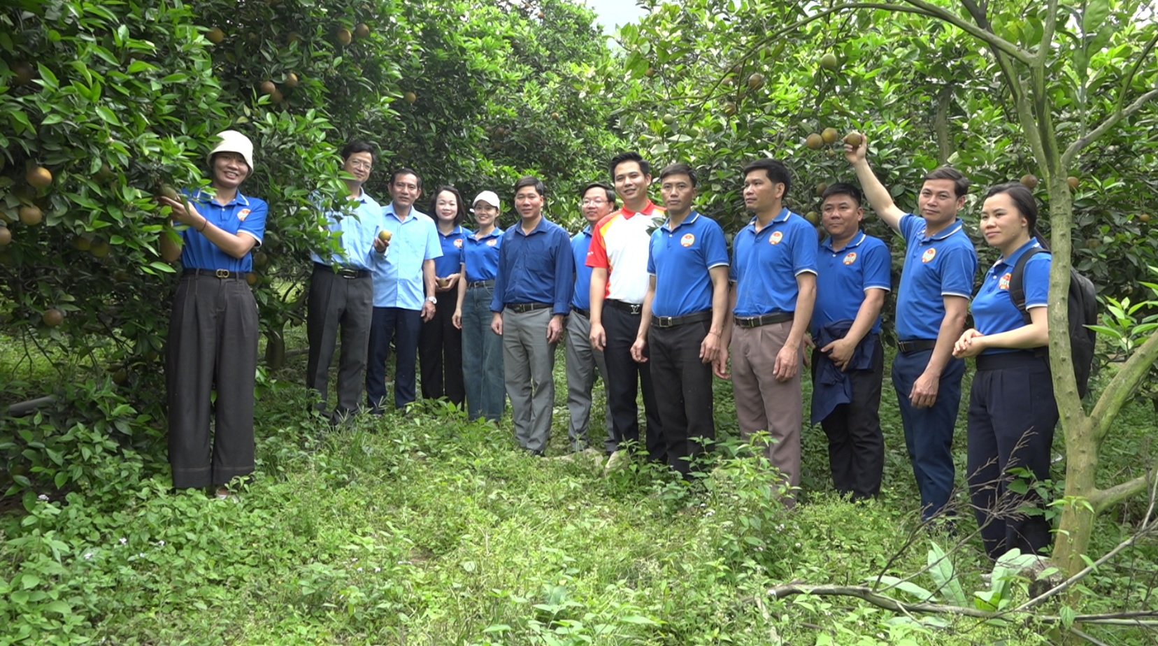 Quỹ Hỗ trợ nông dân huyện Bảo Yên: Đòn bẩy giúp hội viên phát triển kinh tế bền vững 7 Từ nguồn vốn hỗ trợ đến mô hình kinh tế hiệu quả (ảnh truyền hình Bảo Yên )