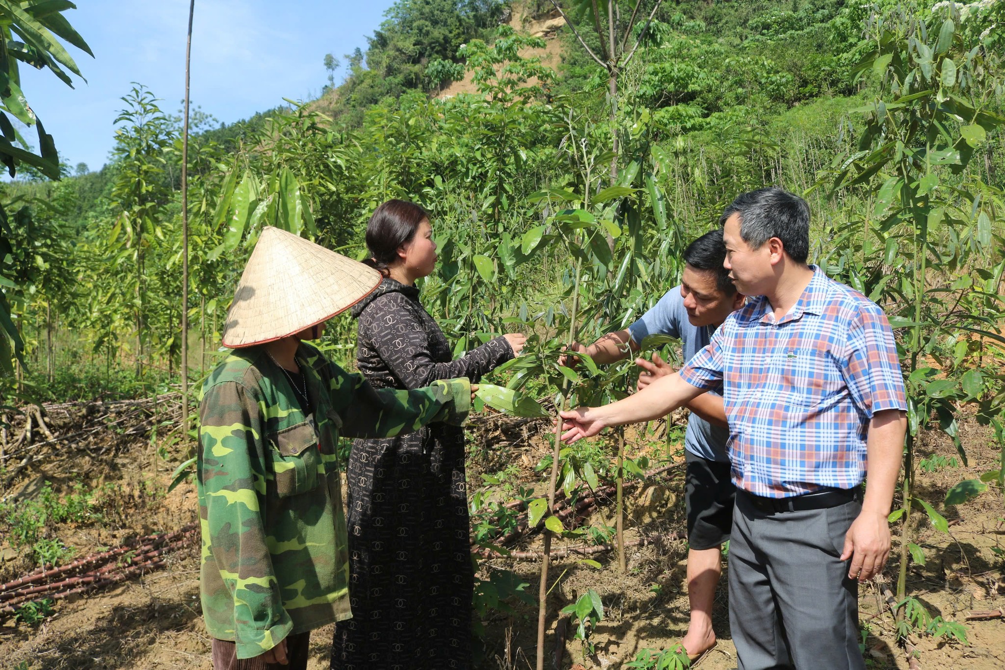 Quỹ Hỗ trợ nông dân huyện Bảo Yên: Đòn bẩy giúp hội viên phát triển kinh tế bền vững 10 Lan tỏa các mô hình làm ăn hiệu quả ( ảnh truyền hình Bảo Yên )