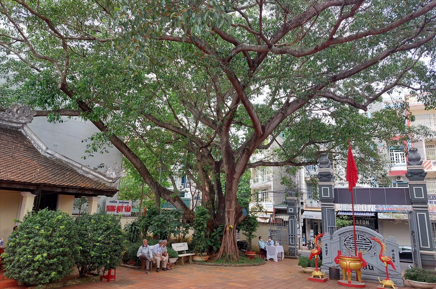 Ngôi đình mang tên "lời giao ước" trên đất Tây Nguyên 6 Cây đa cổ thụ ở góc sân đình