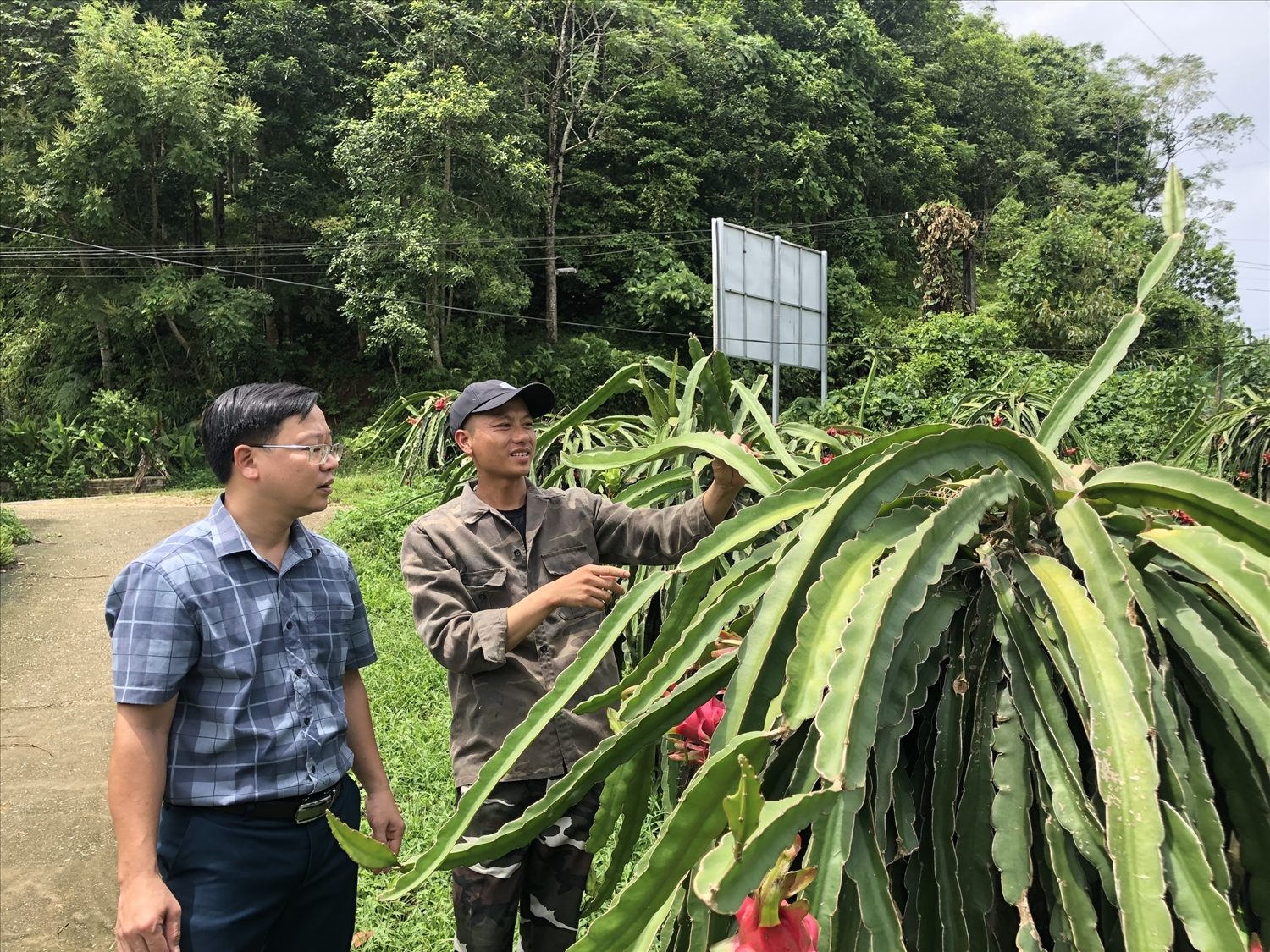 Bảo Yên bứt phá sau 5 năm thực hiện Nghị quyết Đại hội Đảng bộ huyện 1 Đời sống, thu nhập của bà con nông dân không ngừng được cải thiện nhờ đưa các giống cây con mới vào nuôi trồng