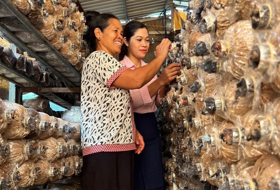 Đồng vốn chính sách nuôi dưỡng khát vọng vươn lên của đồng bào vùng sâu Đắk Nông 3 Đồng bào DTTS tại tỉnh Đắk Nông đã mạnh dạn vay vốn chính sách để mở rộng gia trại, phát triển chăn nuôi, trồng trọt mang lại thu nhập kinh tế hiệu quả
