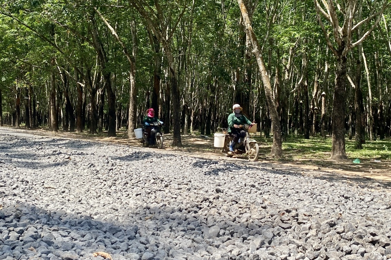 Gian nan con đường đến trường của học sinh DTTS ở xã nông thôn mới Ia Chim 9 Đường hư hỏng, nhiều người lựa chọn cách đi vào lô cao su