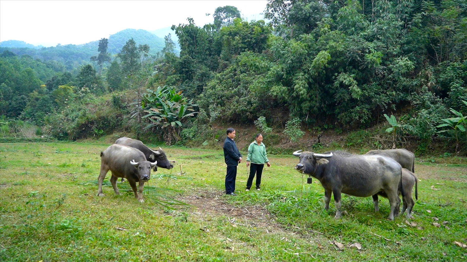 Giam doc Phong giao dich NHCSXH huyen Lam Binh Nguyen Quynh Hung kiem tra viec su dung nguon von vay tren dia ban huyen 466