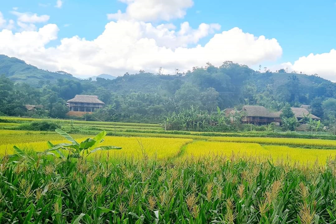 Xã Nghĩa Đô (Lào Cai): Hiệu quả từ đa dạng hóa sinh kế nâng cao thu nhập cho người dân 8 Nghĩa Đô đang hướng đến xây dựng miền quê thanh bình, đáng sống