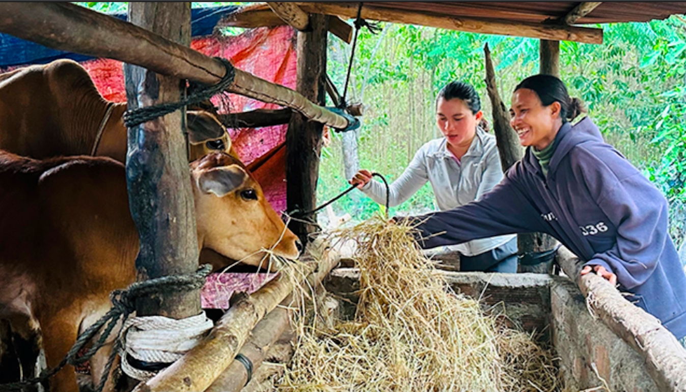 Nhieu ho ngheo o Van canh duoc ho tro bo de phat trien san xuat vuon len thoat ngheo
