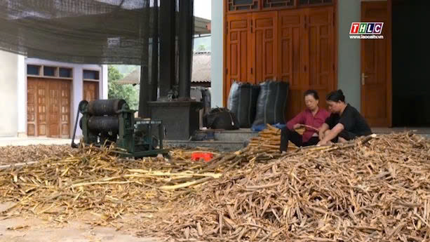 Nong dan thu tren 950 ty dong tu cac san pham que. 45667