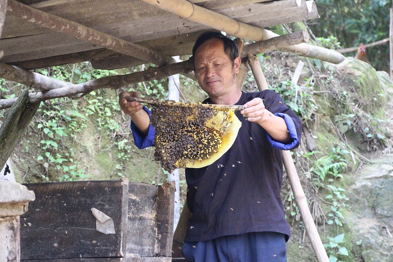 Ong Giang A Phenh o ban Dao Xa xa Kim Noi kiem tra chat luong mat ong 1