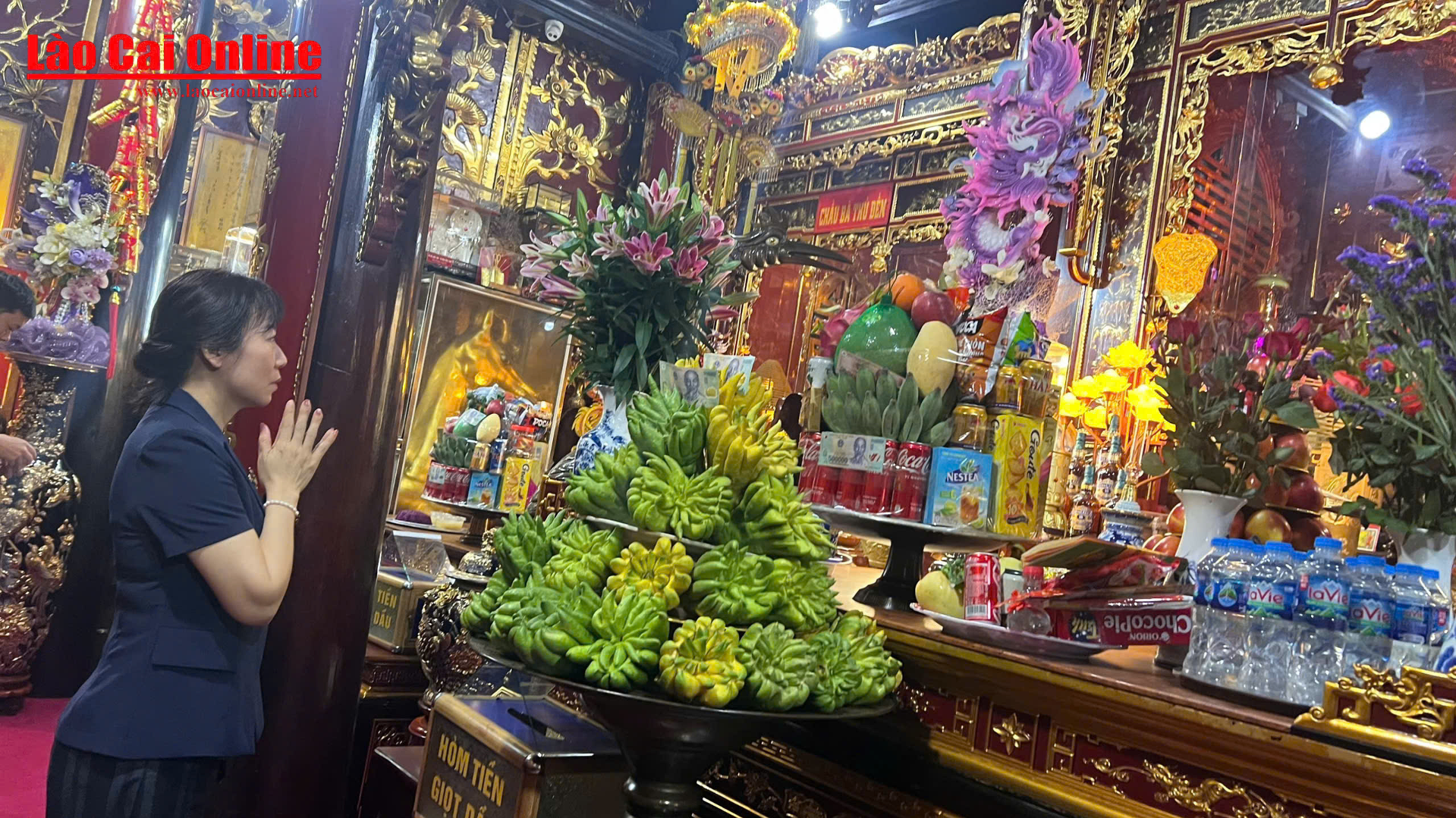 Bảo tàng tỉnh Lào Cai tiếp nhận tiêu bản hổ hoang dã từ Đền Bảo Hà 3 Bảo tàng tỉnh Lào Cai tổ chức lễ tiếp nhận hai hiện vật tiêu bản động vật hoang dã