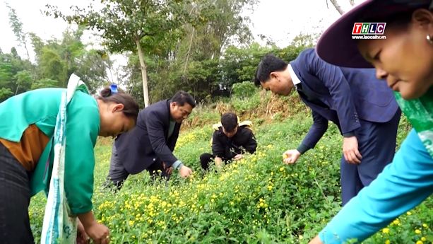 Si Ma Cai hoan thanh nhieu muc tieu tang truong