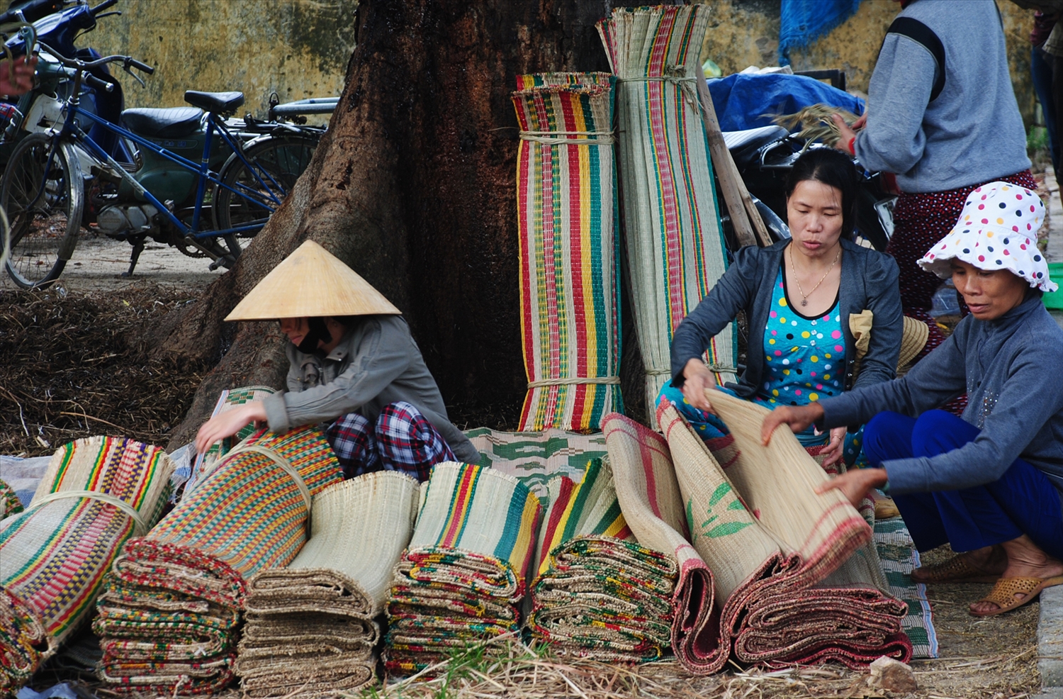 Tinh Binh Dinh dat muc tieu dao tao nghe nong nghiep cho 2.000 lao dong nong thon nam 2025 45566