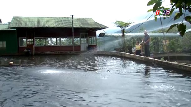 Toan tinh Lao Cai co 545 to hoi nong dan nghe nghiep