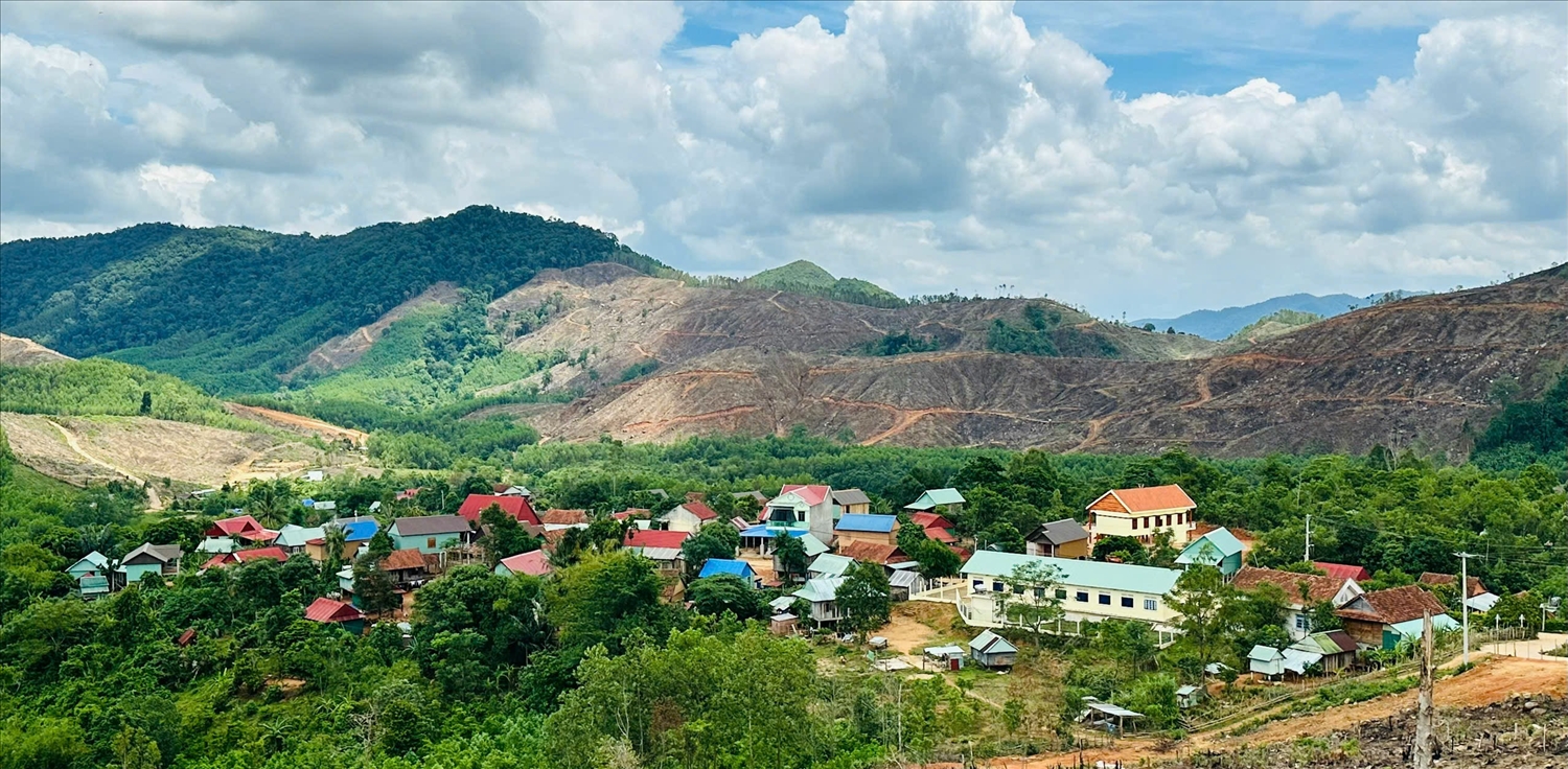 Vung dong bao DTTS va mien nui tinh Binh Dinh da co su doi thay dang ke 5466