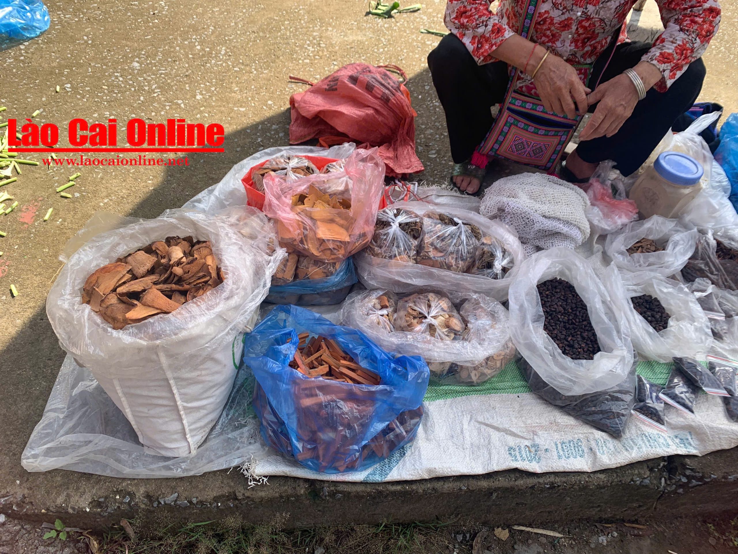ban han thuoc dan toc 4959 1 scaled