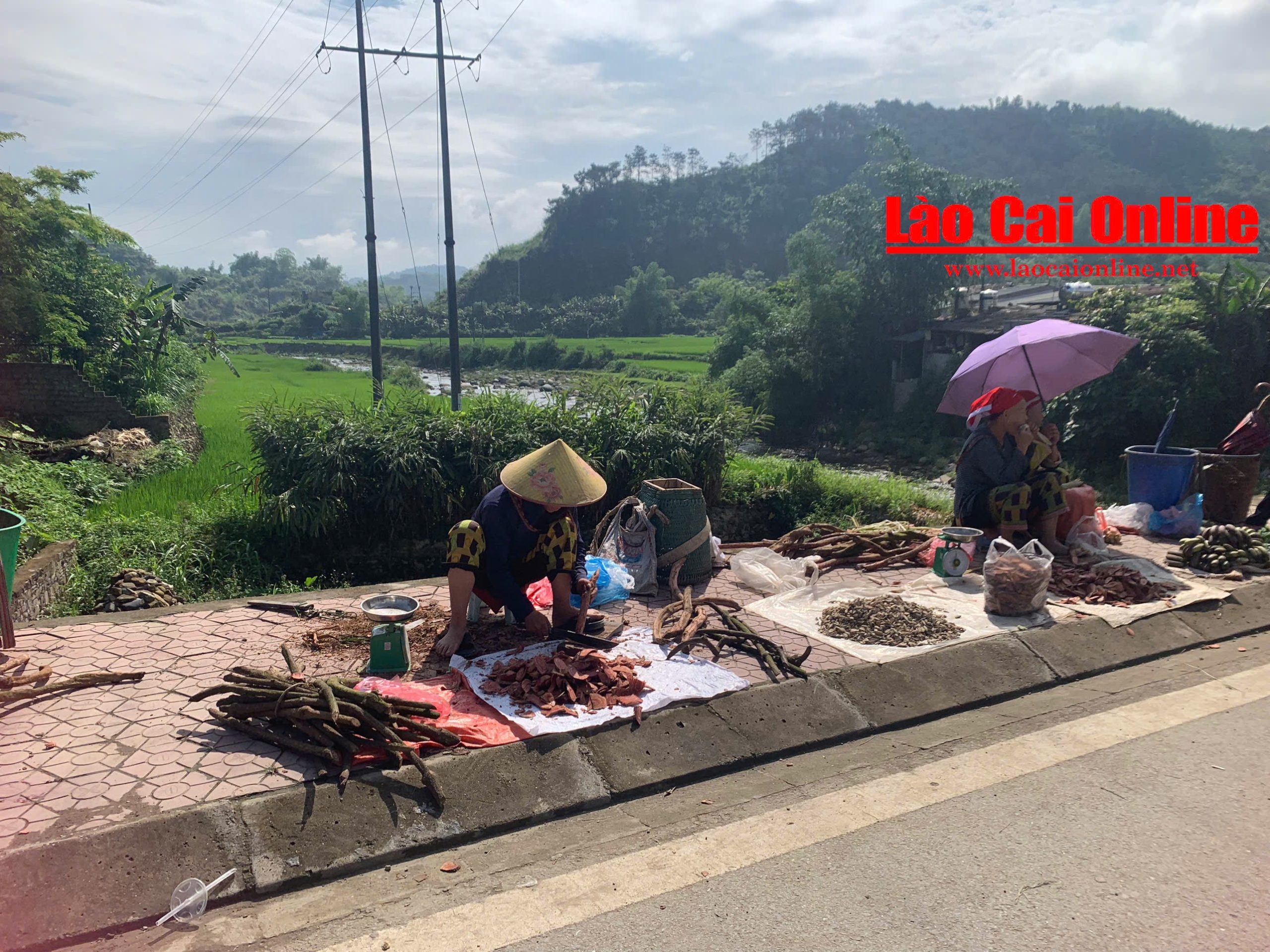 Điểm đặc biệt của phiên chợ là sự phong phú về mặt hàng. Từ nông sản địa phương như rau rừng, măng tươi, thảo quả, đến các vật dụng gia đình, quần áo, thuốc bắc