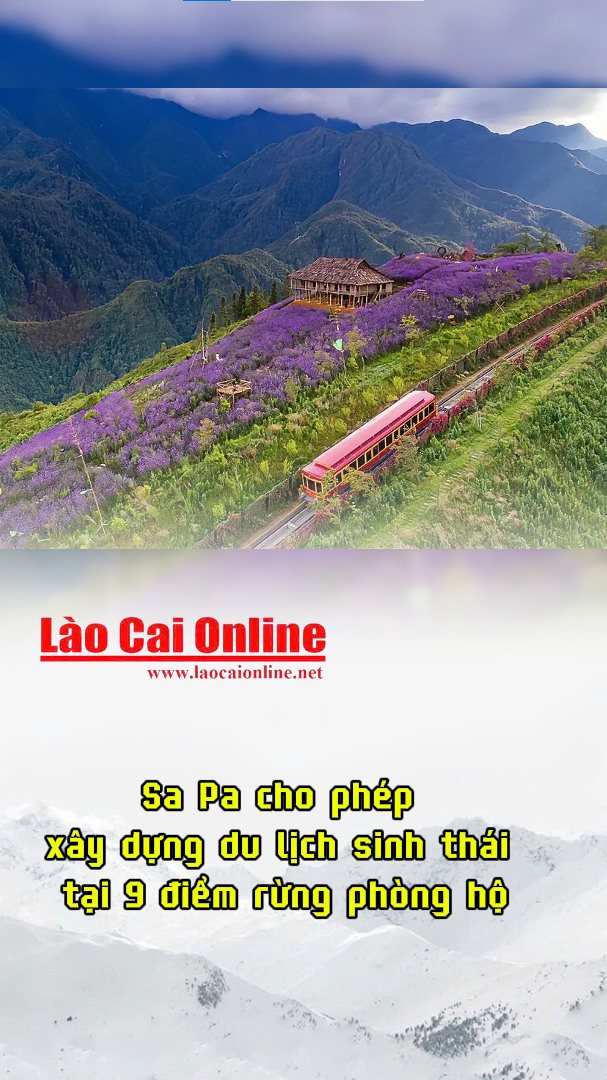c9d997a4 5e22 4b17 9eca 2d692c516e35 1