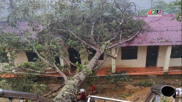 Lào Cai: Mưa dông đầu mùa gây thiệt hại, 12 nhà dân bị tốc mái 2 Mưa dông làm tốc mái hư hại nhiều tài sản của trường học và một số hộ dân. (Ảnh THLC)