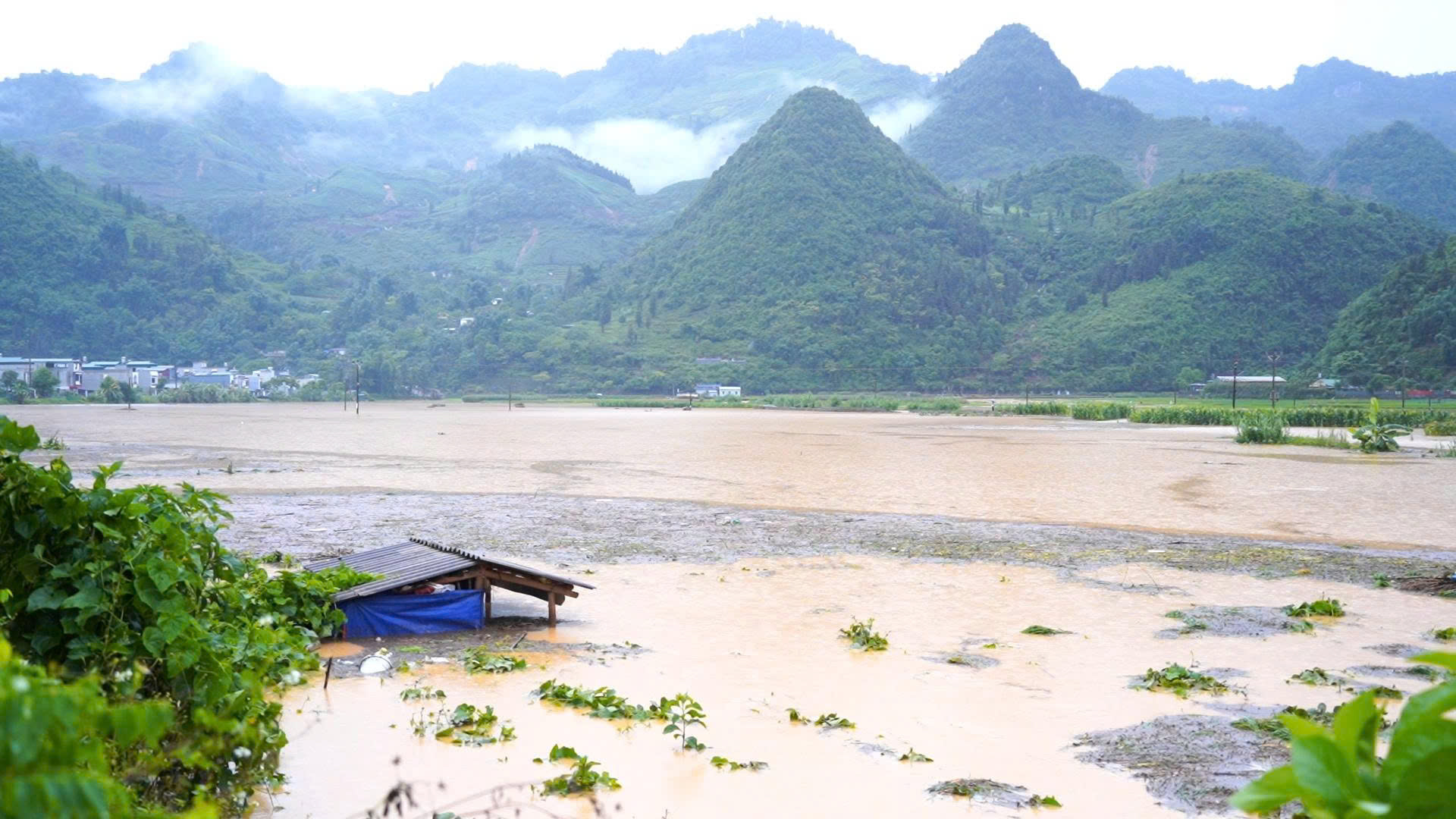 Lào Cai, Hà Giang mưa lớn: 2 người thiệt mạng, hàng trăm hecta hoa màu bị tàn phá 1 Mưa lũ tại Mường Khương (Ảnh Tùng Lâm - Mỹ Anh )