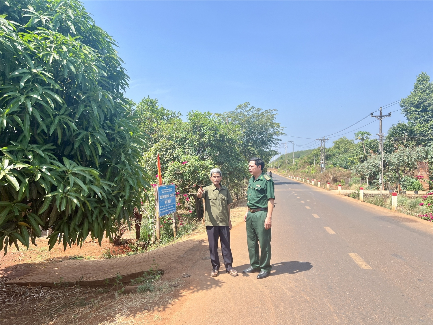Gia Lai: Công bố làng Triêl đạt chuẩn nông thôn mới trong vùng đồng bào DTTS 3 Đường từ trung tâm xã đến làng và đường liên thôn, trục thôn của làng Triêl đã được bê tông hóa, nhựa hóa đạt 100%