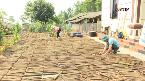 Bảo Yên: Giai đoạn 2021 – 2025 giảm hơn 3.500 hộ nghèo, vượt mục tiêu đề ra 1 Giai đoạn 2021 – 2025, huyện Bảo Yên giảm 3.515 hộ nghèo. (Ảnh THLC)